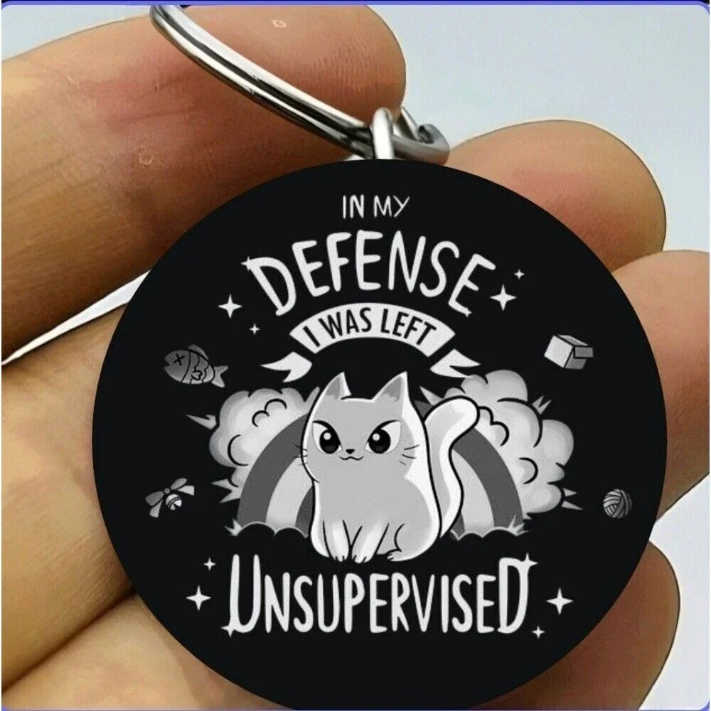 Disaster Chaos Kitty Cat Pet Animla Left Unsupervised Funny Stainless Keychain